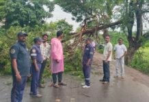 *భారీ వర్షాలు.. అప్రమత్తమైన బల్దియా డీఆర్ఎఫ్— –విరిగిపడిన చెట్లను తొలగించి రహదారులపై రాకపోకలు పునరుద్ధరణ..