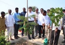 నాటిన మొక్కల సంరక్షణకు ప్రతి ఒక్కరూ బాధ్యత వహించాలి: కలెక్టర్ ఆశిష్ సంగ్వాన్